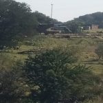 Lindiwe-Mashiane.jpg