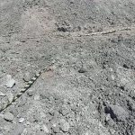ef1433aa-7117-4408-a0ab-fa0d70017d54-0.jpeg