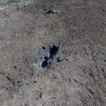 July.25.alert_.Tebogo-Dikale.pic2_-1.jpg