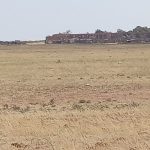Tshepo-pic-2-August-1.jpg