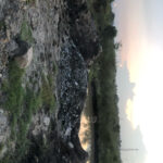 Koketso-Sibanda.October-alert.25-0.jpg