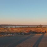 Lerato-May-pic-1-1.jpeg