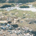 POTSISO_0970_00026-1.JPG