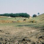 POTSISO_1556_00023-0.JPG