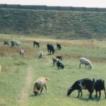 POTSISO_1556_00024-1.JPG